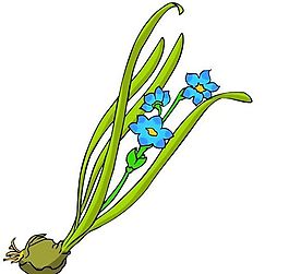 花卉古典插畫