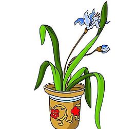 花卉古典插畫(huà)