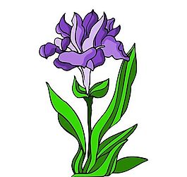 花卉古典插畫