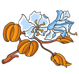 花卉古典插畫
