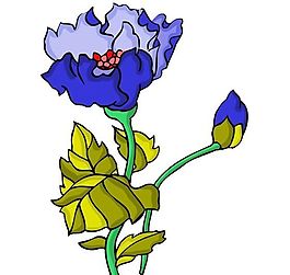花卉古典插畫(huà)