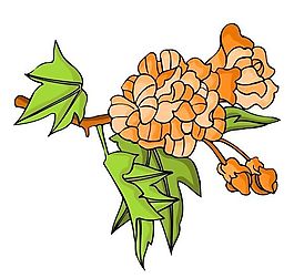 花卉古典插畫