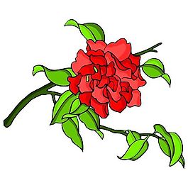 花卉古典插畫
