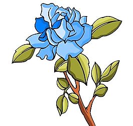 花卉古典插畫