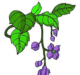 花卉古典插畫