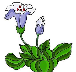 花卉古典插畫