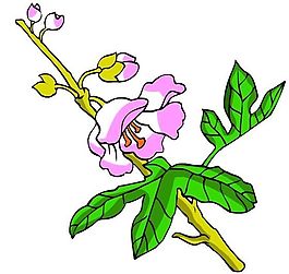 花卉古典插畫