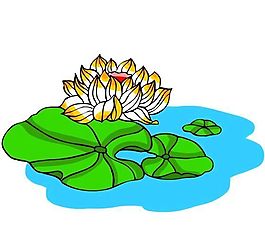 花卉古典插畫(huà)