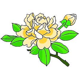 花卉古典插畫