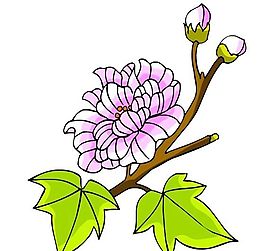花卉古典插畫