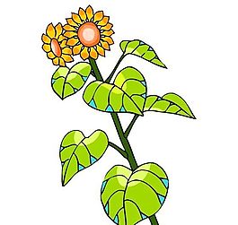 花卉古典插畫