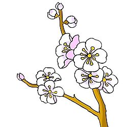 花卉古典插畫