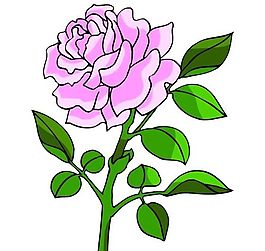 花卉古典插畫