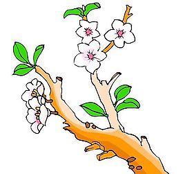 花卉古典插畫