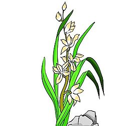花卉古典插畫