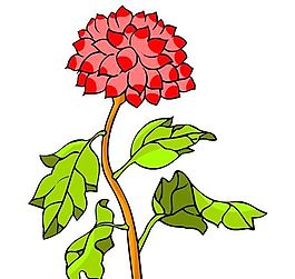 花卉古典插畫
