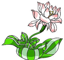 花卉古典插畫