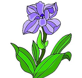 花卉古典插畫