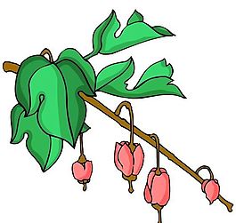 花卉古典插畫