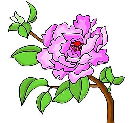 花卉古典插畫