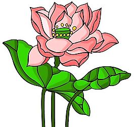 花卉古典插畫