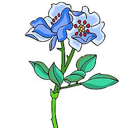 花卉古典插畫