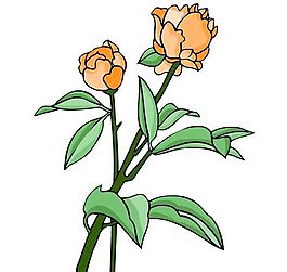 花卉古典插畫