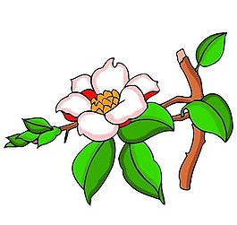 花卉古典插畫