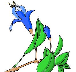 花卉古典插畫