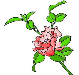 花卉古典插畫