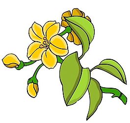 花卉古典插畫