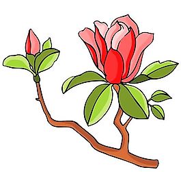 花卉古典插畫