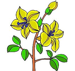 花卉古典插畫
