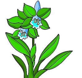 花卉古典插畫