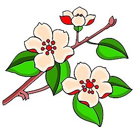 花卉古典插畫