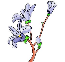 花卉古典插畫