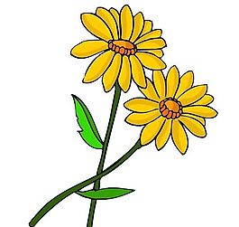 花卉古典插畫