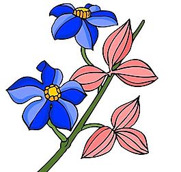 花卉古典插畫(huà)