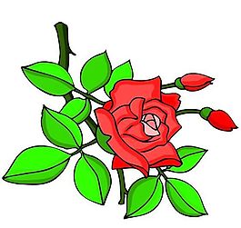 花卉古典插畫(huà)