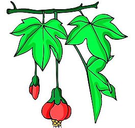 花卉古典插畫