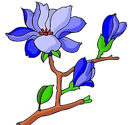花卉古典插畫(huà)