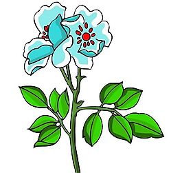 花卉古典插畫