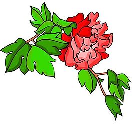 花卉古典插畫