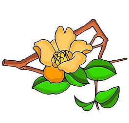 花卉古典插畫
