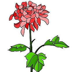 花卉古典插畫