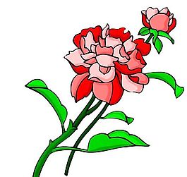 花卉古典插畫