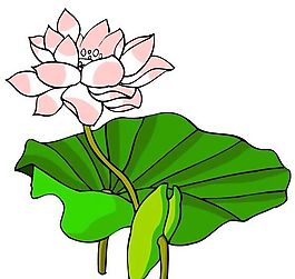 花卉古典插畫