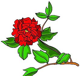 花卉古典插畫
