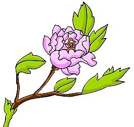 花卉古典插畫