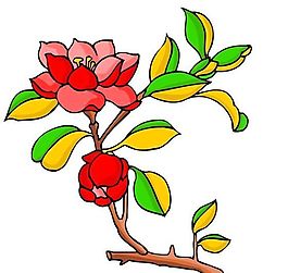 花卉古典插畫